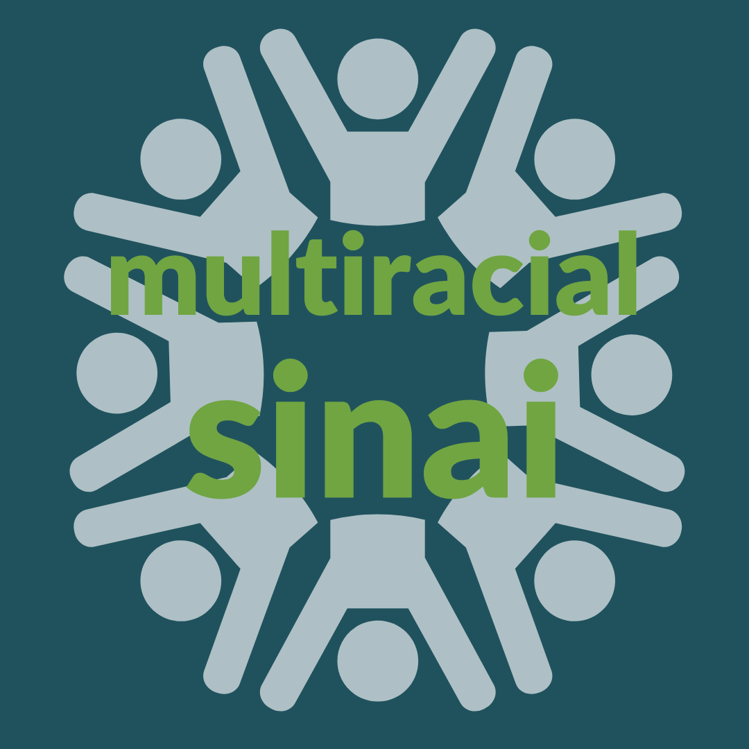 multiracial sinai profile options (1)